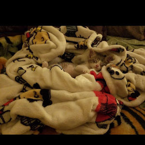 Meet your Posher, Charly